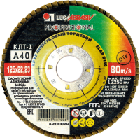 Круг лепестковый торцевой КЛТ 1 125х22.23 А40 PROFESSIONAL (80 10)