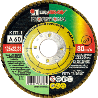 Круг лепестковый торцевой КЛТ 1 125х22.23 А60 PROFESSIONAL (80 10)