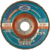 Круг лепестковый КЛТ1 125х22 А40 (14А 40 Р40)  PROF TSUNAMI (80 10)